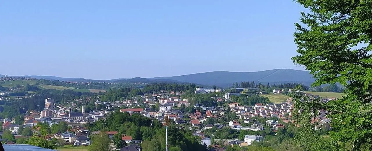 Freyunger Berghaus Villa Holiday home